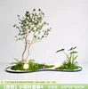 Little Banyan Leaf Set