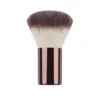 powder brush