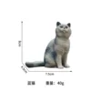 British Shorthair (Blue)