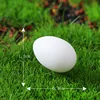 5#white Egg