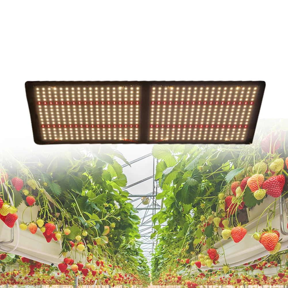 Meijiu Samsung LED Grow Lights - Efficient Plant Growth