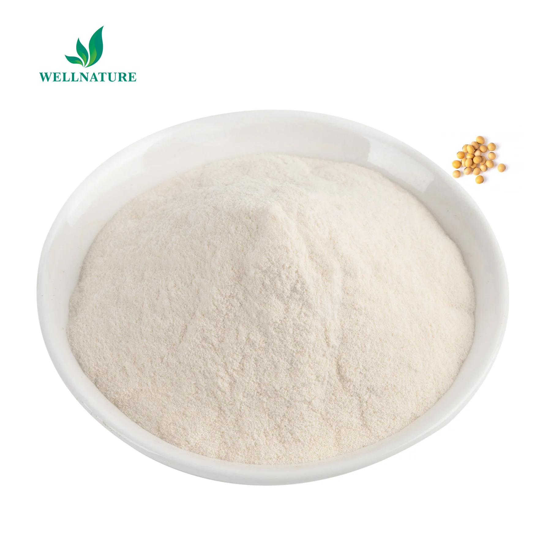 Soy Bean Lecithin Powder Soya Lecithin 25 Soya Lecithin Powder Buy Soy Lecithin lecithin soya