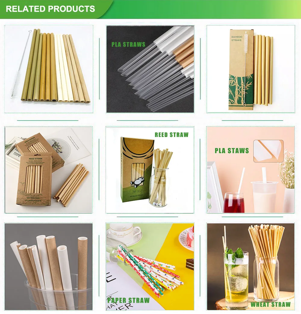 Biodegradable Straw Pla Corn Paper Packaging Compostable Straws