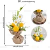 Lemon Sapling - 27CM