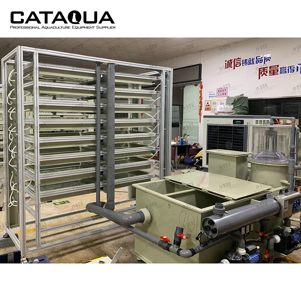 Shelf Type China Automatic Aquarium Commercial Large Catfish Egg Incubator Price in Nepal