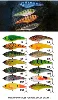 Multi Couleur