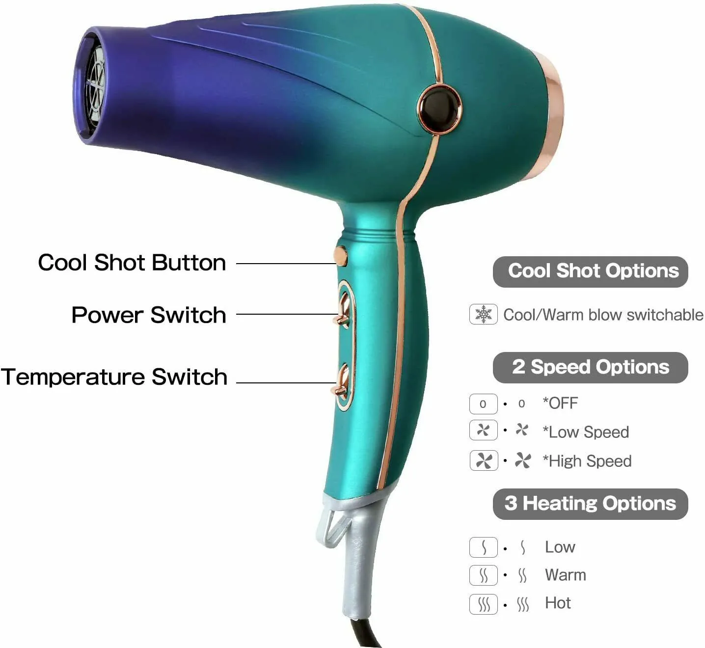 Professional Salon Hair Dryer 2300W Powerful AC Motor Home Use Blow Dryer Machine with Negative