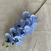 azul-2