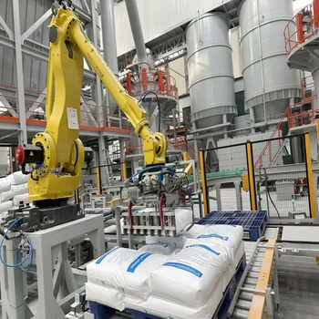 CE Certification Full Automatic Robotic Palletizing ABB Industrial Packaging Robot Palletizer