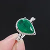 Anillo Verde