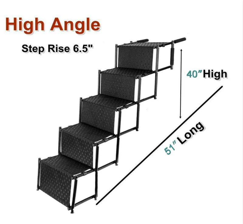 dog steps4