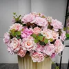 50cm rosa 2