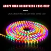 2835 RGB Neon Chasing Light (48 LEDs/m)