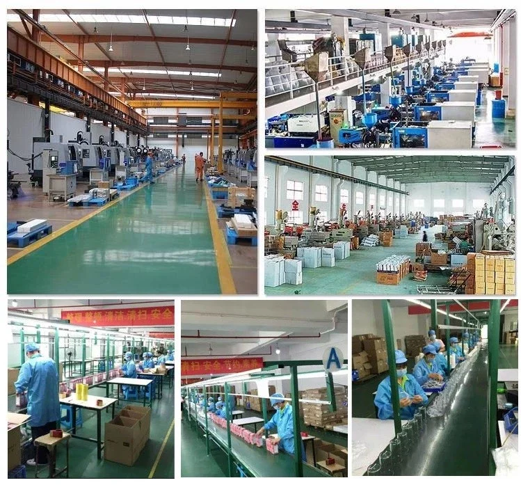 Shenzhen Hengliyuan Technology Co., Ltd. 3