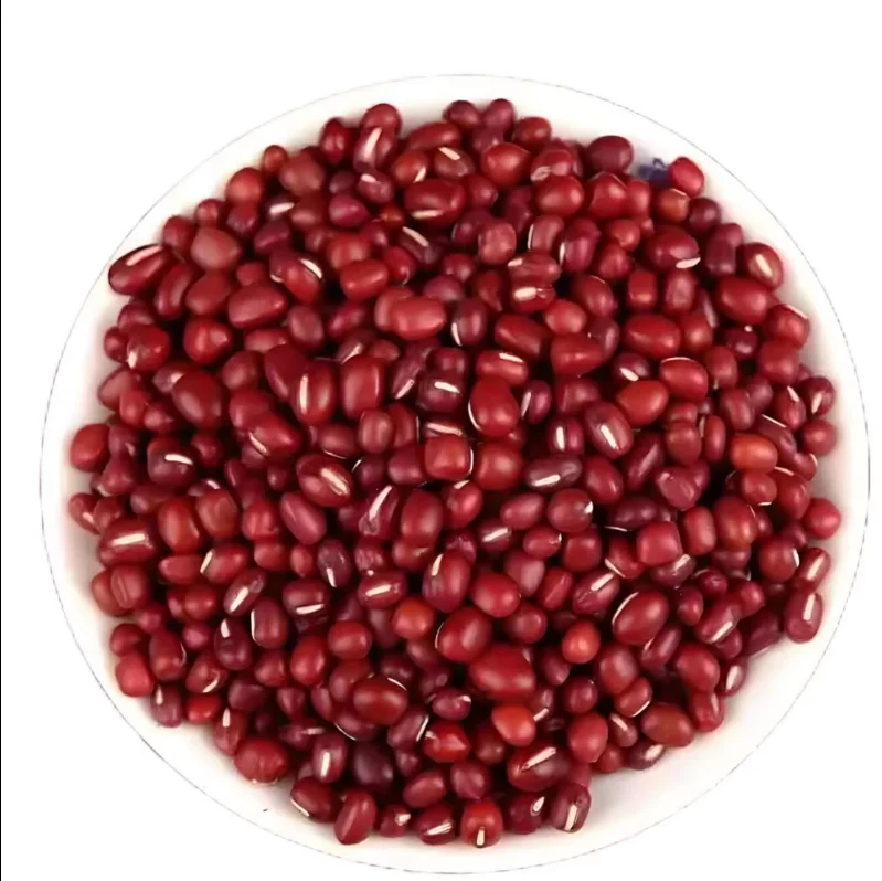 frijoles rojos redondos pequeños para la venta pelados frijoles rojos secos frijoles rojos de riñón