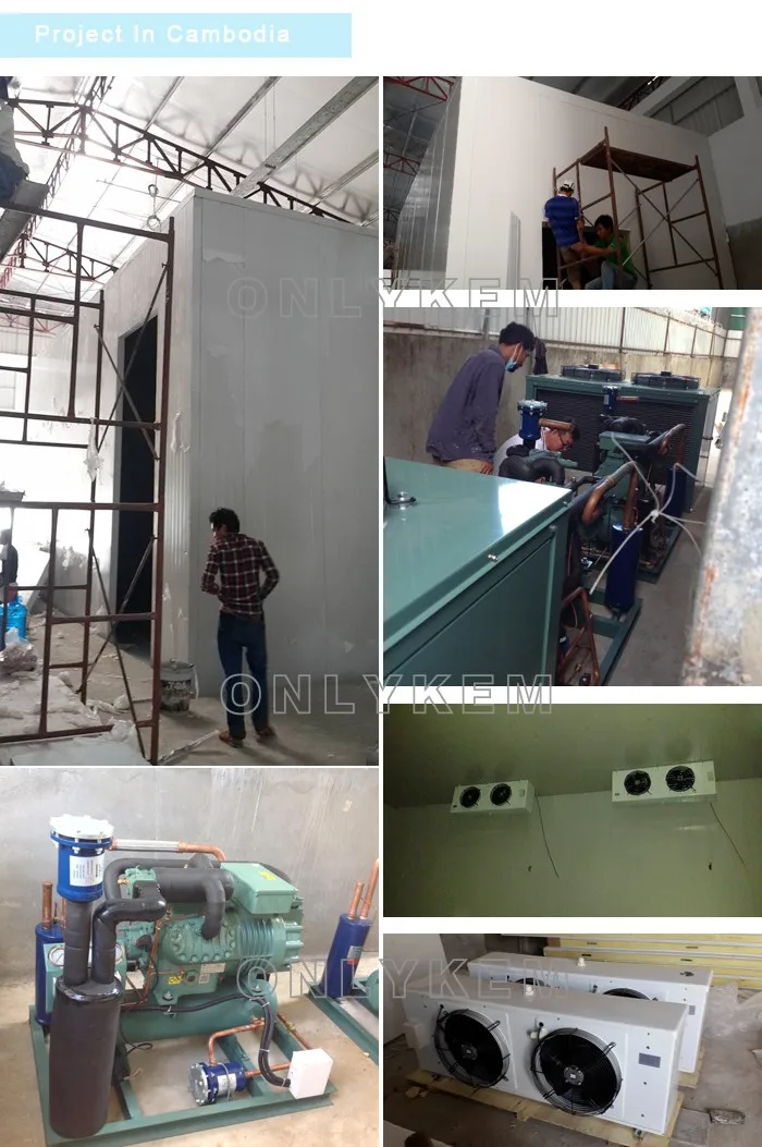 Walk in Freezer Cold Storage Butcher Shop Cold Room for Sausage Meat Processing Plant
