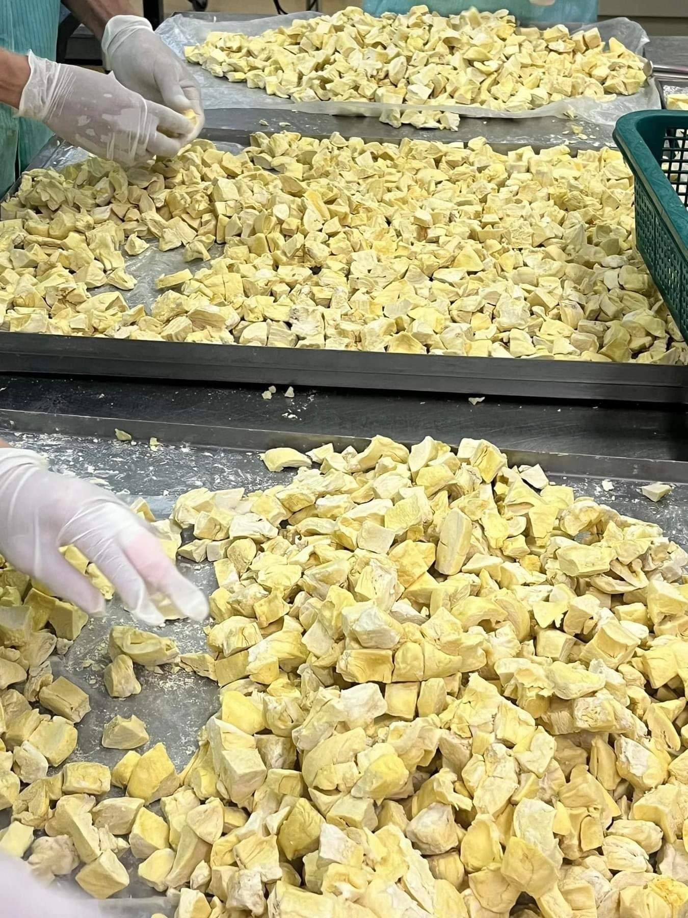 Freeze Dried Durian Chips - Bulk Wholesale from China Factory H57a0873f06504254b64c60d8e8632e38u