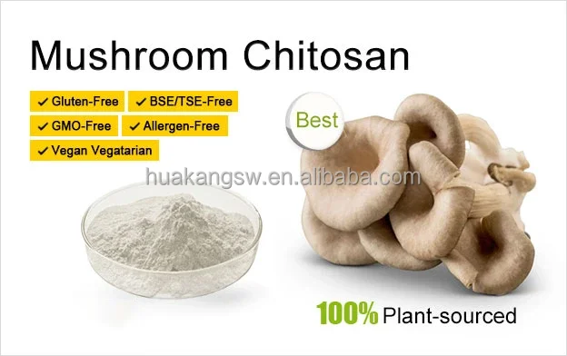 Chitosan Lactate, Vegetal Chitosan Form Mushrooms, Mushroom Chitosan ...