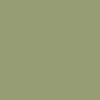 สีเขียวมะกอก