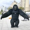 Black gorilla