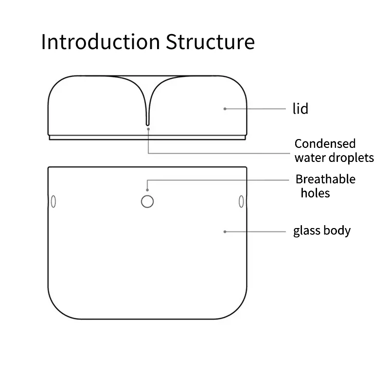 Classic Style Glass Geometric Terrarium Box Glass Terrarium Vase with Lid Creative Terrarium Flower Pot for Plants