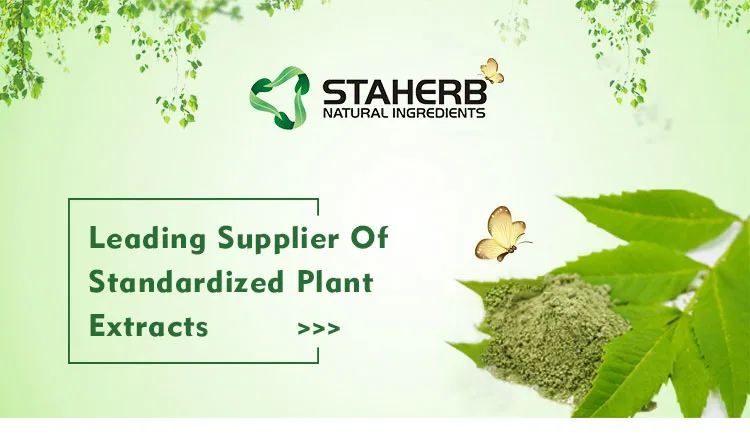 Free sample Staherb Manufacturer Supply High Quality Perilla Seed Extract Powder rosmarinic acid 3%-6% Perilla leaf Extract