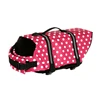 Pink Dot