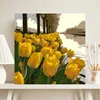 SKU 7(20x20cm Pine wood inner frame)