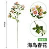 Large island spring flowers pinkish-purple