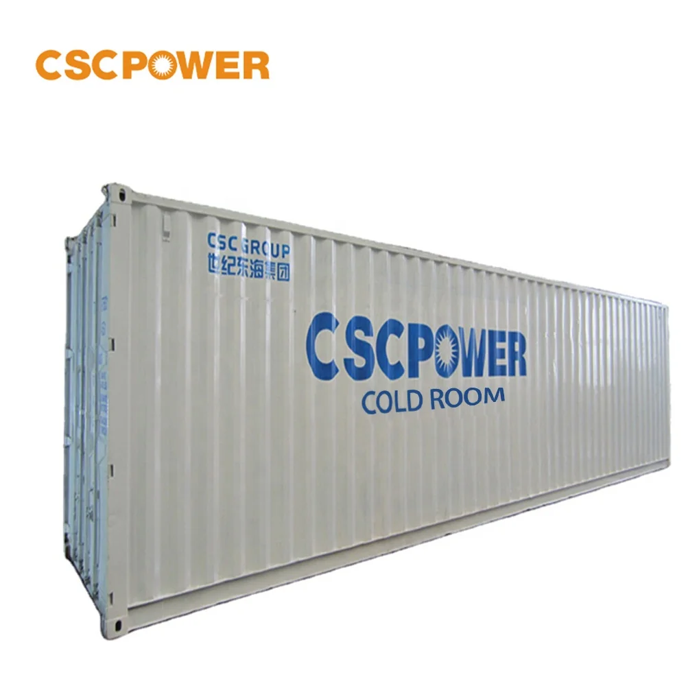20FT 40FT Container Freezer Cold Storage Room and Chiller Freezer Container