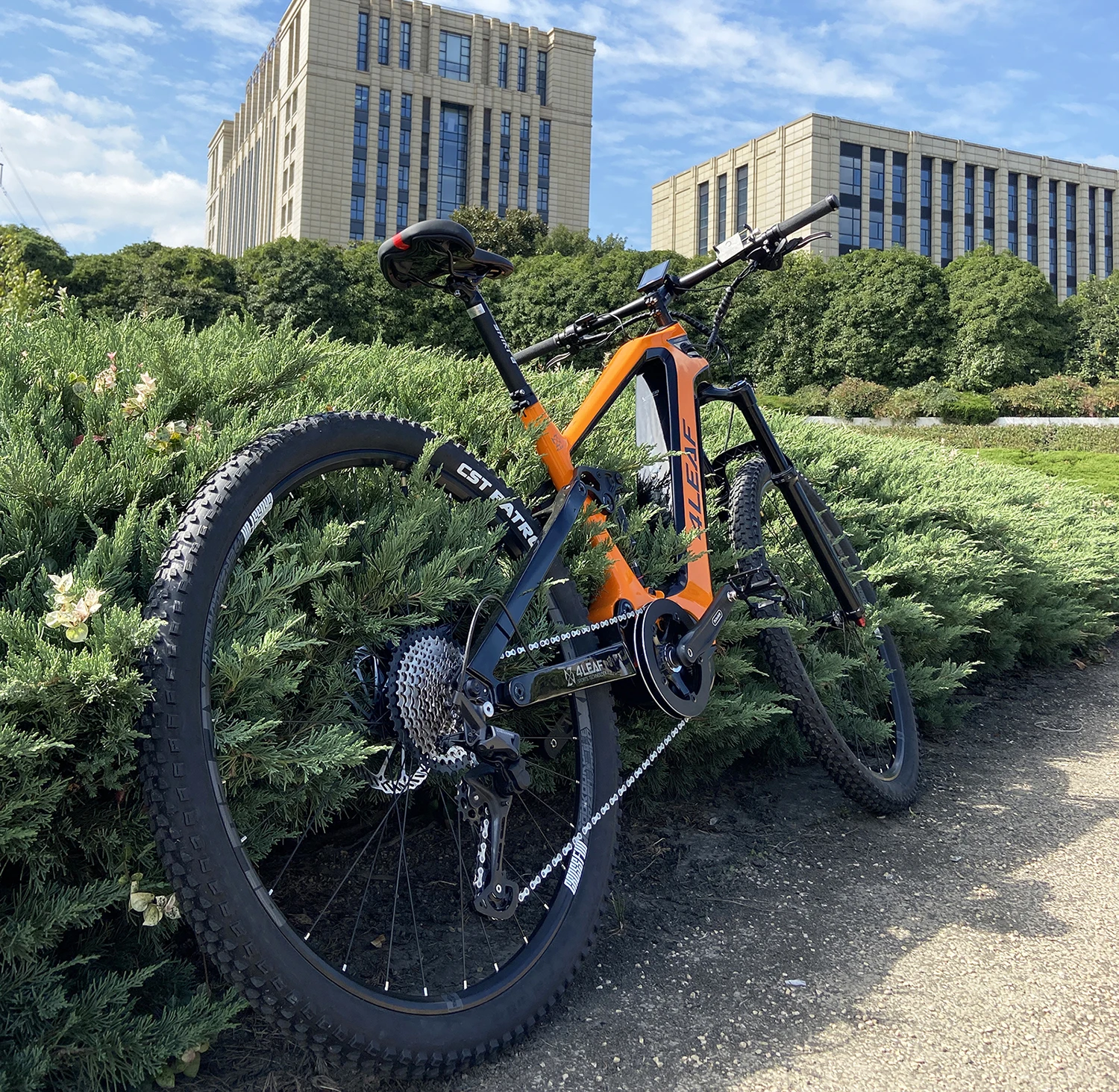 Loki 29er Mtb Electronic Bike Bafang M620 M560 Electric Bike Carbon