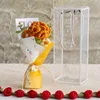 Clavel - caja pequeña para mascotas naranja
