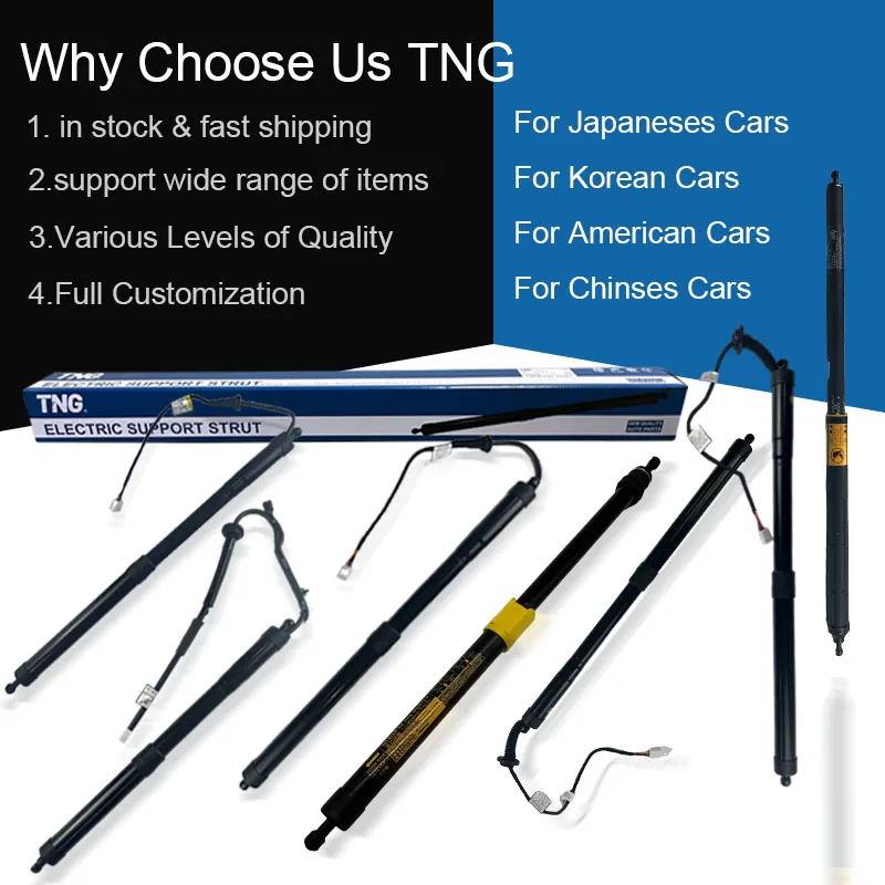 TNG Factory Power Electric Tailgate Lift Support 68910-09130 68910