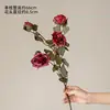 Rosa de té roja de 4 cabezas, con borde quemado, de una sola rama