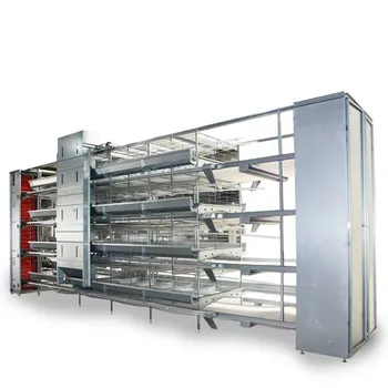 H Type Closed Poultry Farming House Complete Automatic Battery Chicken Cage System New Product 2020 Silver Provided 20 Nipple