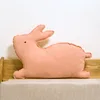 Conejo rosa