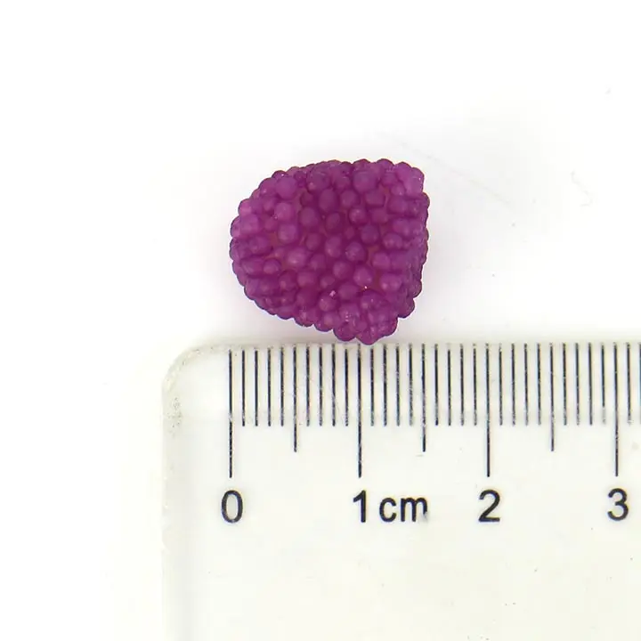 pearl jelly pop