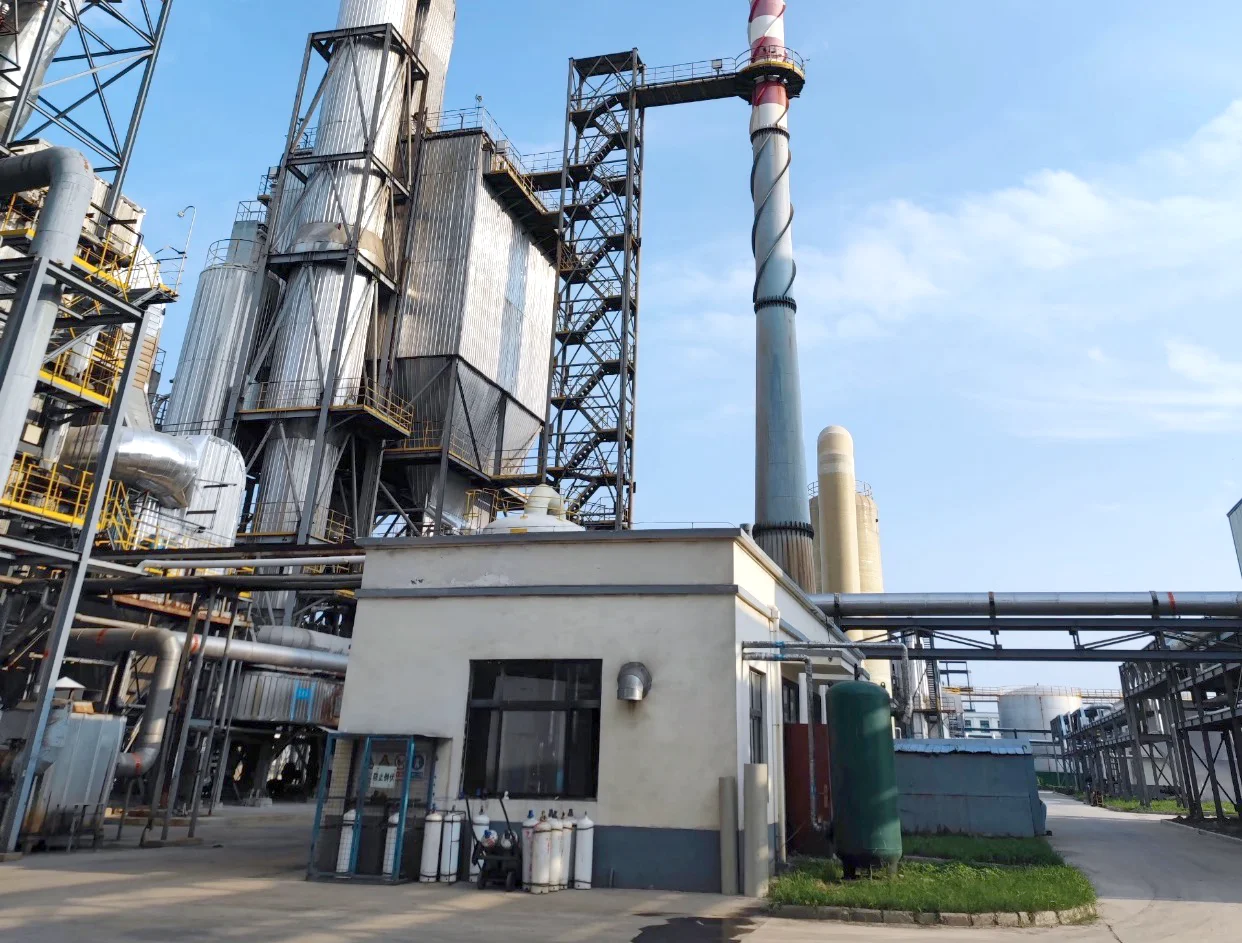 Zongsoon(Guangzhou) Import and Export Co.,Ltd. 1