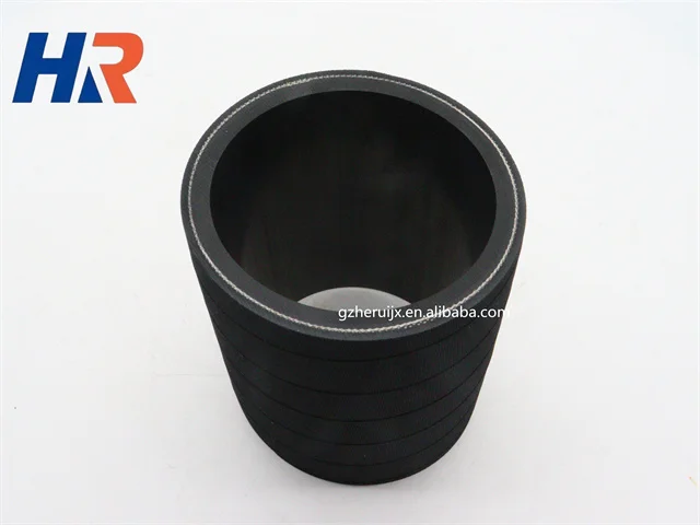 Original Quality Parts Rubber Hose 4348419/4352438