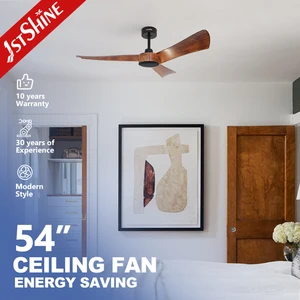 1stshine Ceiling Fan Bathroom Hot Sale Hanging ODM ABS Blades No Light Remote Ceiling Fan with DC Motor