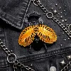 Scarabeo-arancione