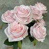 No 6 light pink