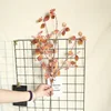 Orange d'automne