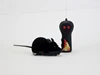 Nero&amp;Nero