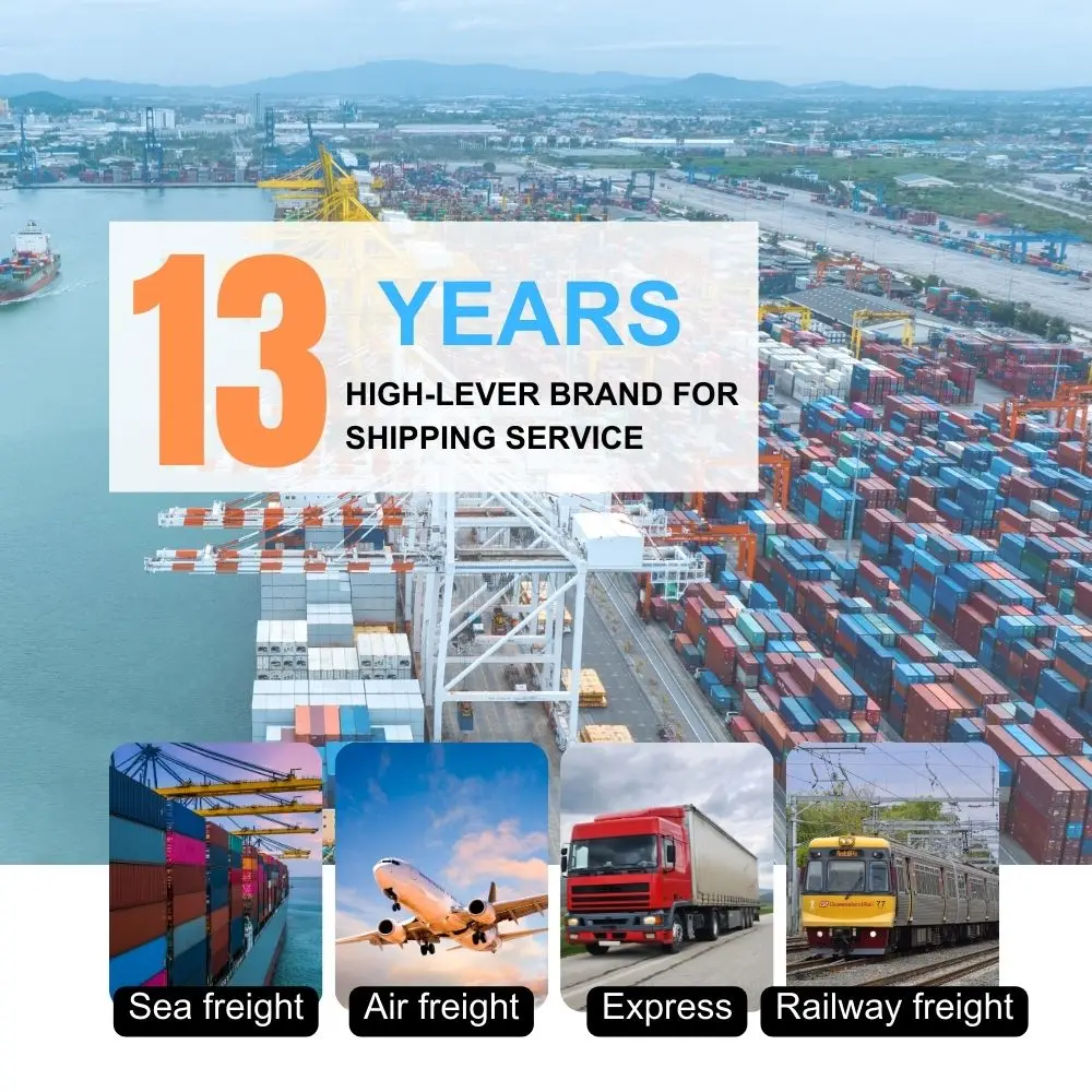 Sea Shipping Services Freight Forwarders Cheaper Prices China to Algeria/Ethiopia  Cargo Logistics Shipping Agents