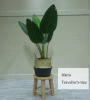 Árbol pequeño personalizado