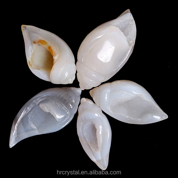 Healing Crystal Conch Shell Druzy Agate Geode Crystal Conch Shell Carving for Decoration