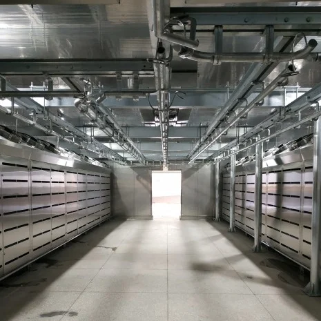 Advanced thawing chamber systems for modern food processing and cold chain applications