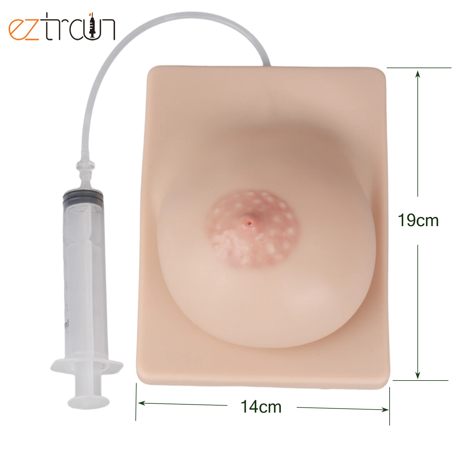 Lactating Breast Model for Mothers Lactation Consultant Breastfeeding Education