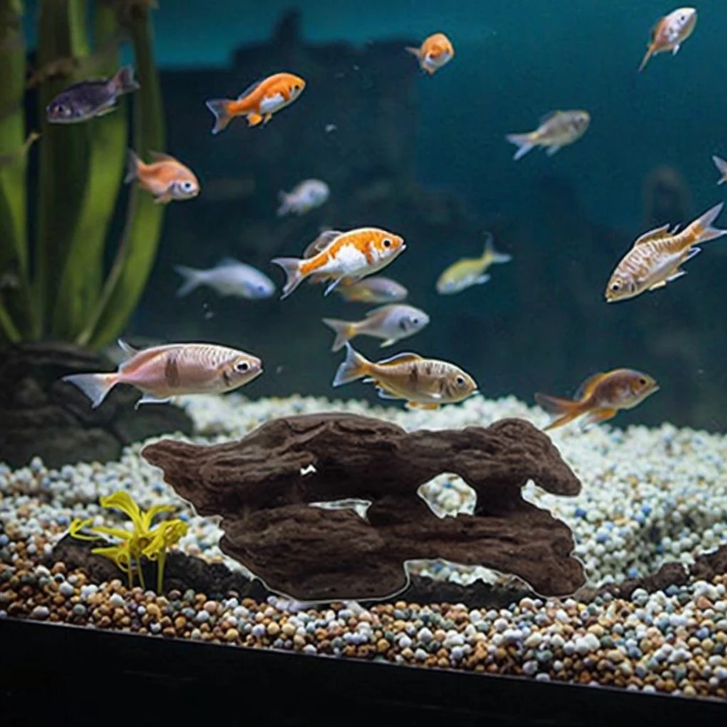 Driftwood Spider Assorted Branches Fish tank Aquarium Reptile